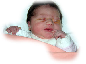 Agrandir la photo dans une nouvelle fen�tre