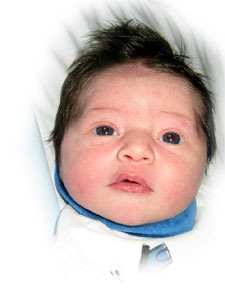 Agrandir l'image dans une nouvelle fen�tre