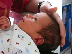 Photo n� 8 (cliquez pour agrandir)