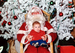 Agrandir la photo n� 3 dans une nouvelle fen�tre (121 Ko)