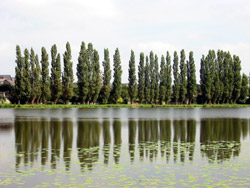 Le lac de la tranquillit�