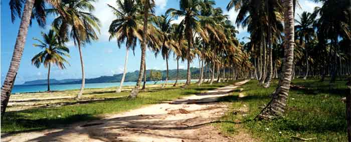 D�couvrir la R�publique dominicaine ?